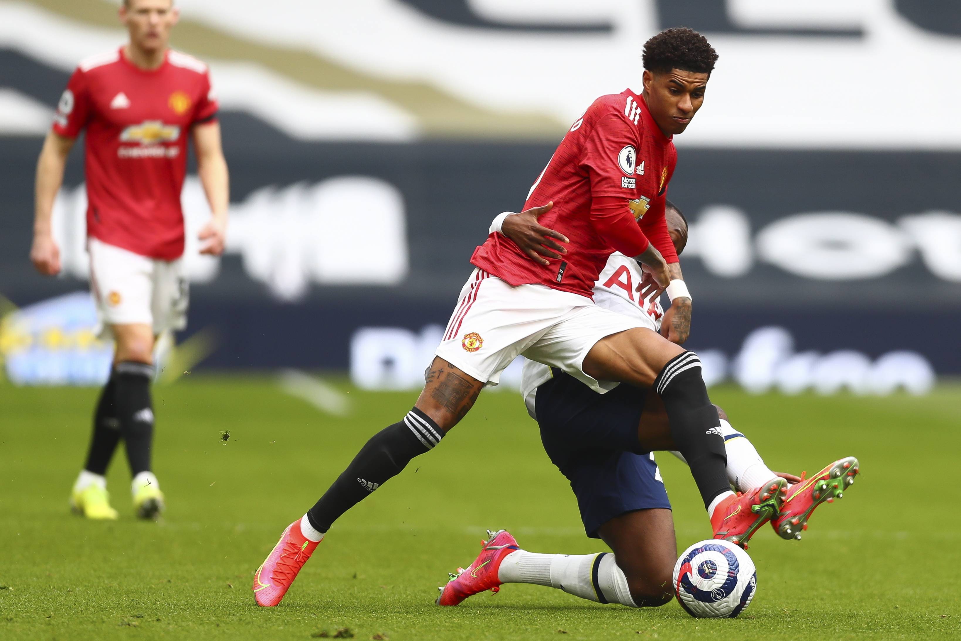 广厦球迷 广厦球迷